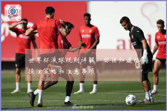 世界杯滚球规则详解,你该知道的投注策略和注意事项